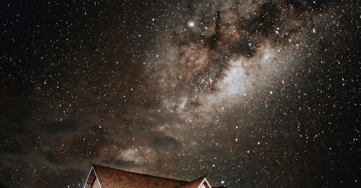 Мистические символы удачи в слоте The Dog House Megaways